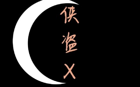 侠盗X（侠盗X）全文免费阅读无弹窗大结局_ （侠盗X）侠盗X最新章节列表